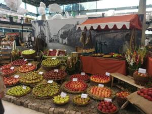 Exkurze - Olima